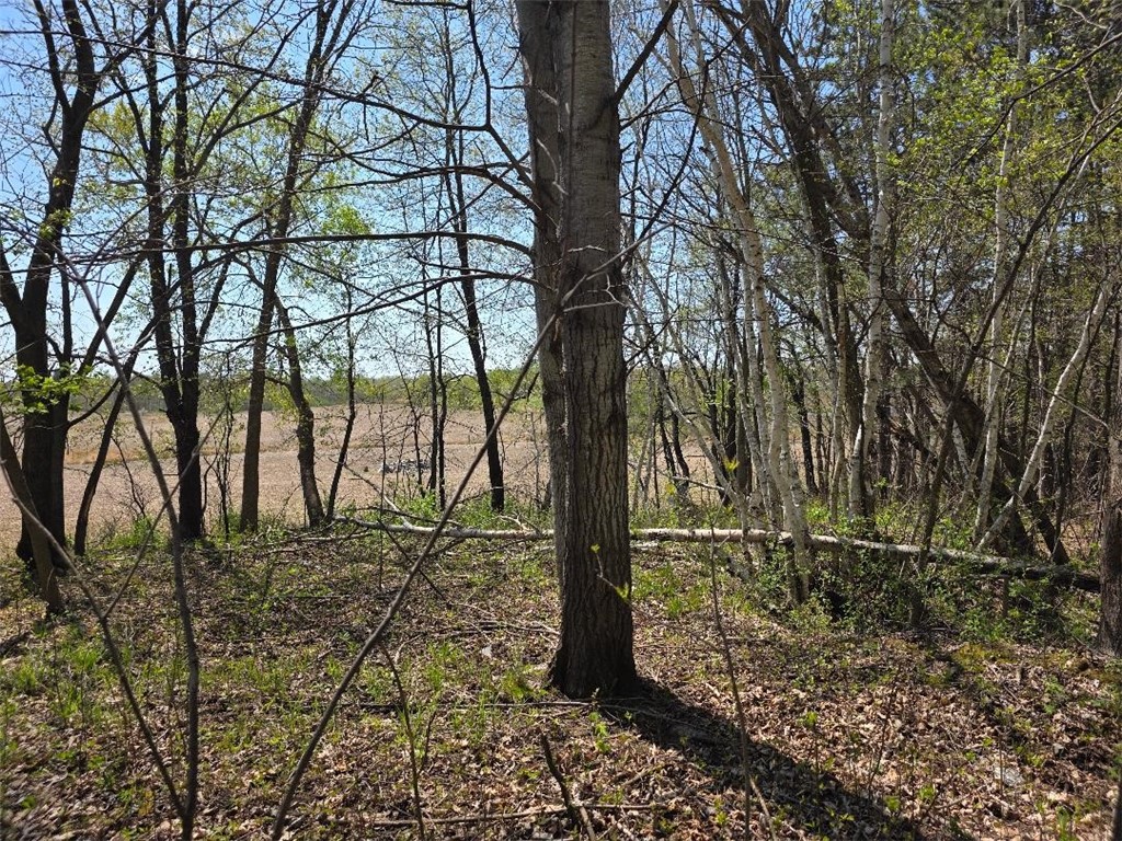 00 4th Clayton WI 54004 1591468 image6