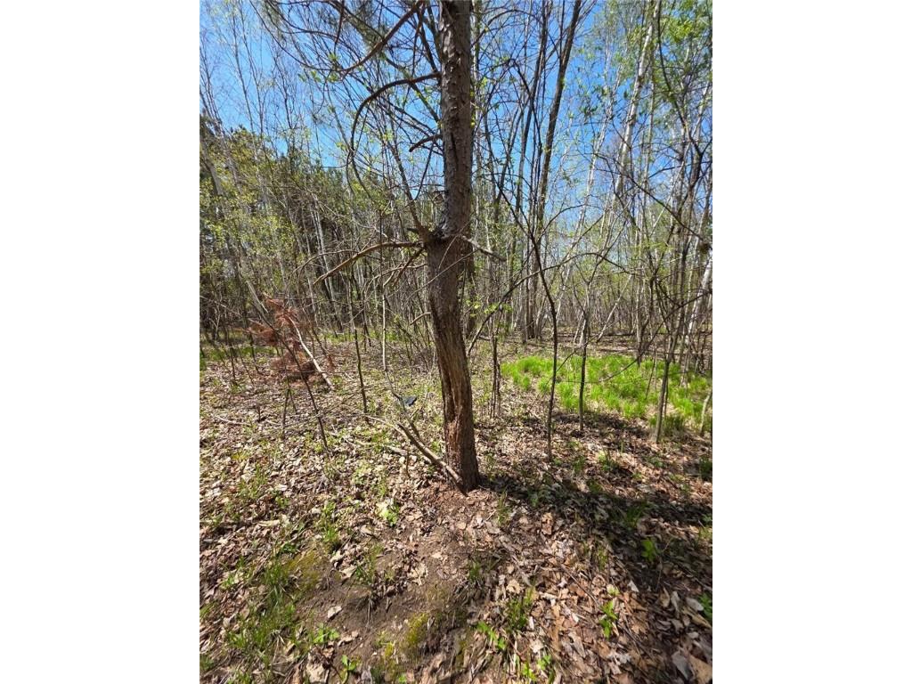 00 4th Clayton WI 54004 1591468 image9