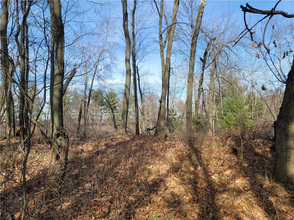 00 5 1/2 Avenue New Auburn WI 54757 - Ten Mile 1580045 image1