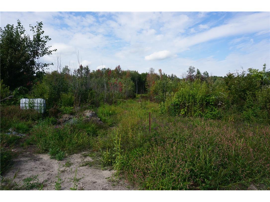 00 Badger Avenue Granton WI 54436 1595729 image2