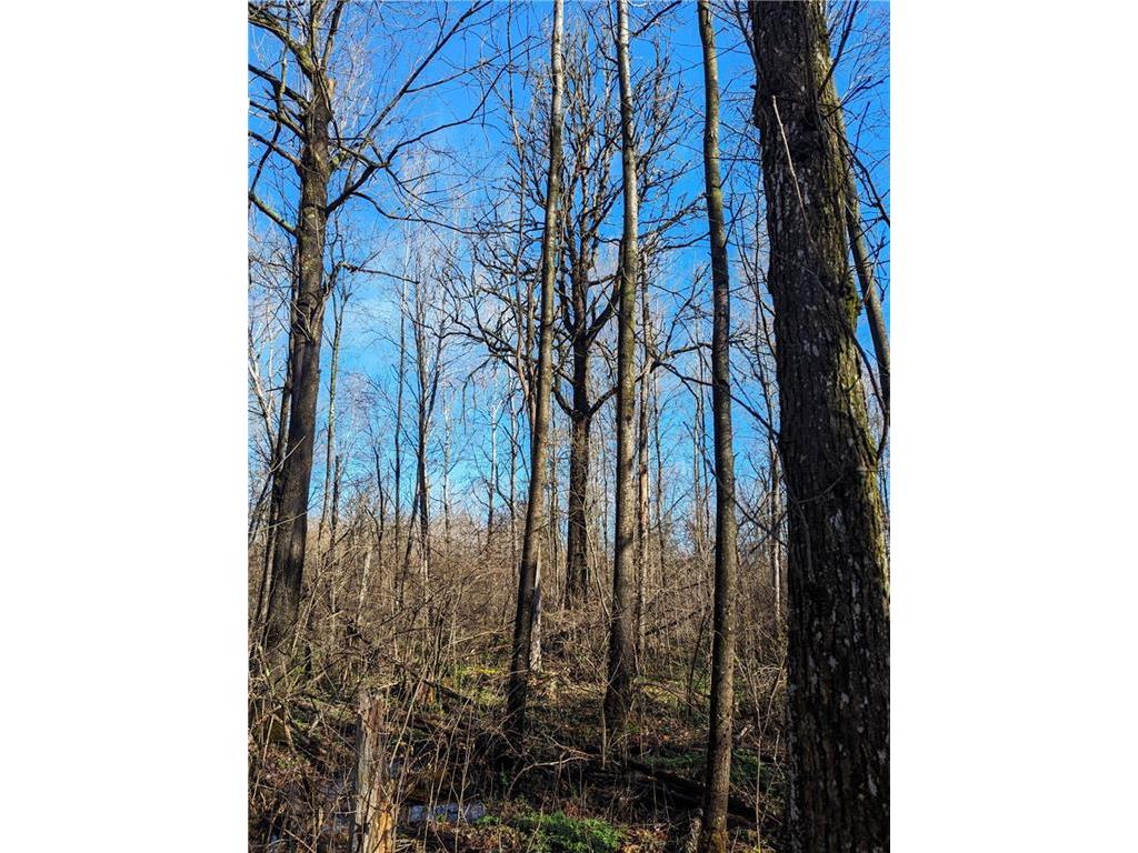 00 Cth O Catawba WI 54515 1581714 image1