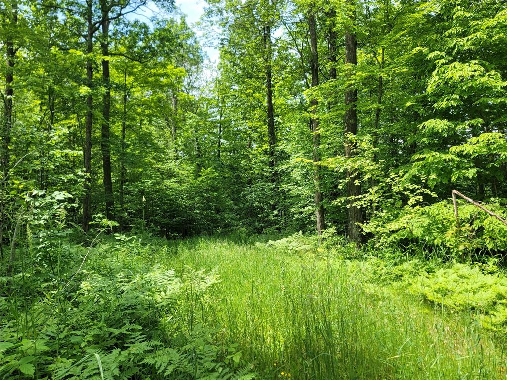 00 Cedar Swamp Road Weyerhaeuser WI 54895 1582979 image1