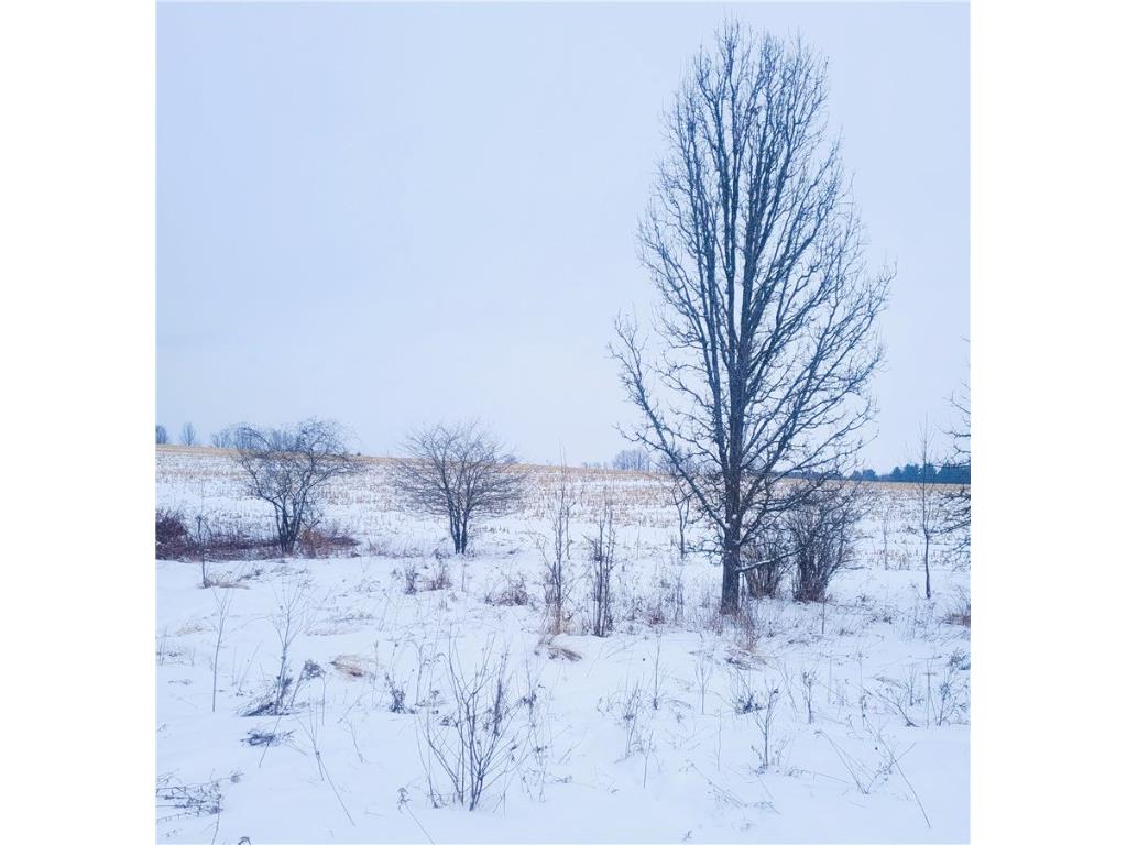 00 County Hwy B Lot 2 Neillsville WI 54456 1597939 image10