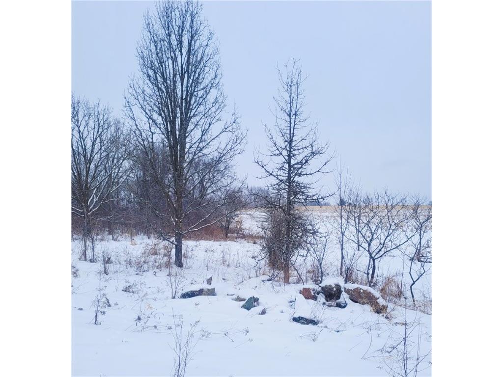 00 County Hwy B Lot 2 Neillsville WI 54456 1597939 image11