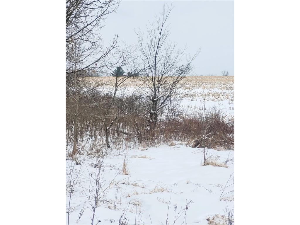 00 County Hwy B Lot 2 Neillsville WI 54456 1597939 image7