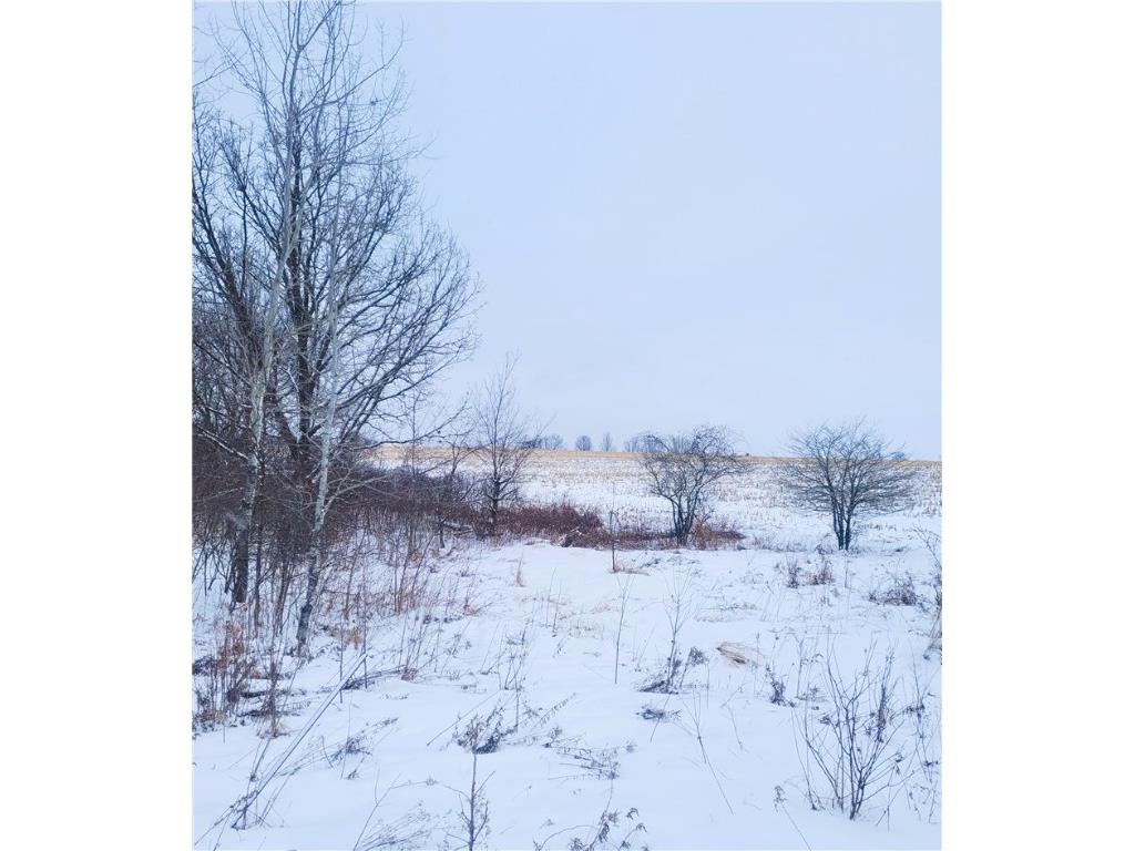 00 County Hwy B Lot 2 Neillsville WI 54456 1597939 image9