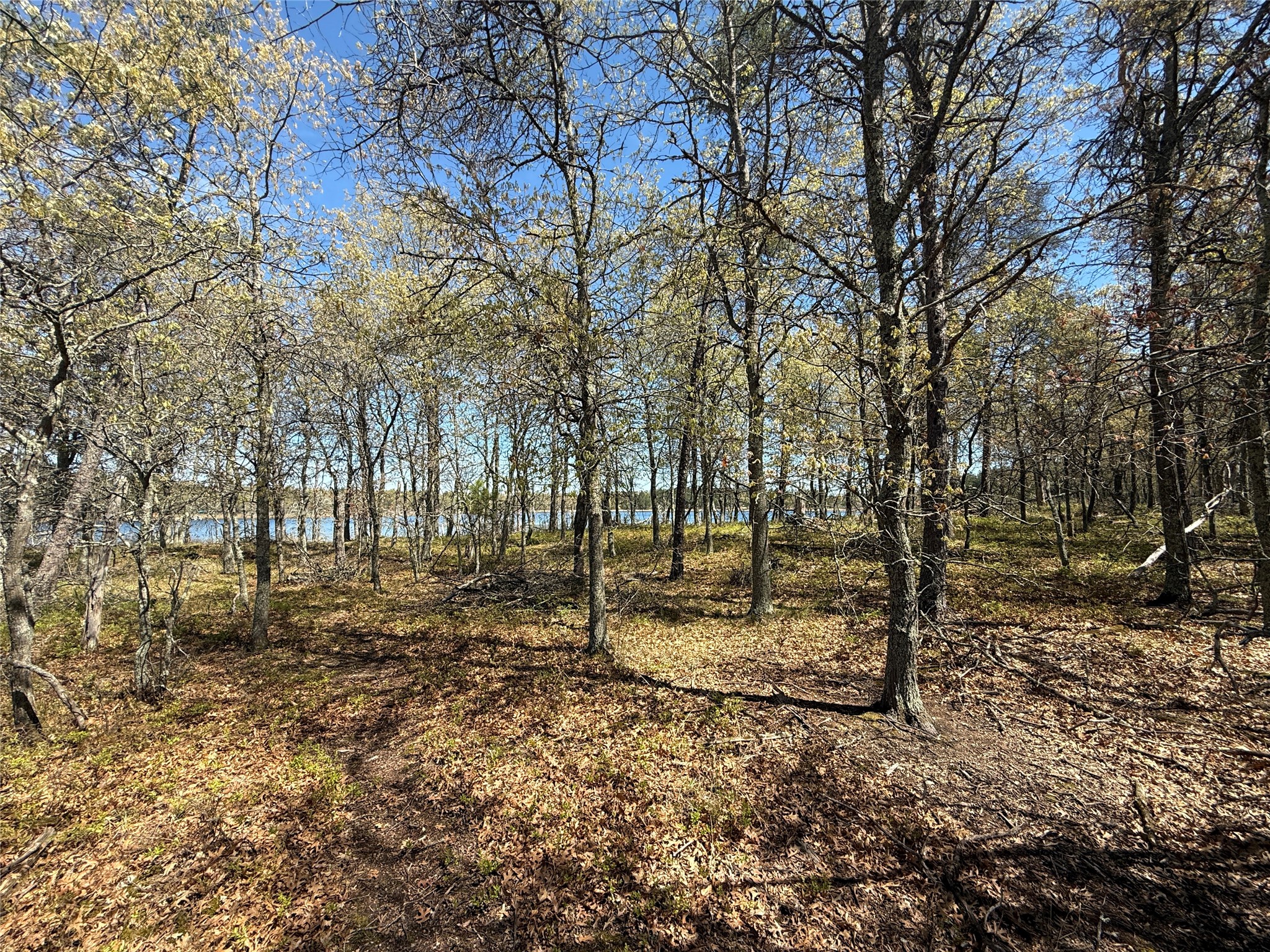 00 County Line Rd Minong WI 54859 - No Mans Lake 1601512 image33