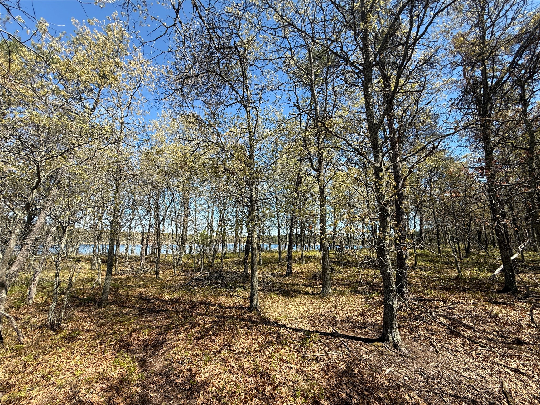 00 County Line Rd Minong WI 54859 - No Mans Lake 1601512 image9