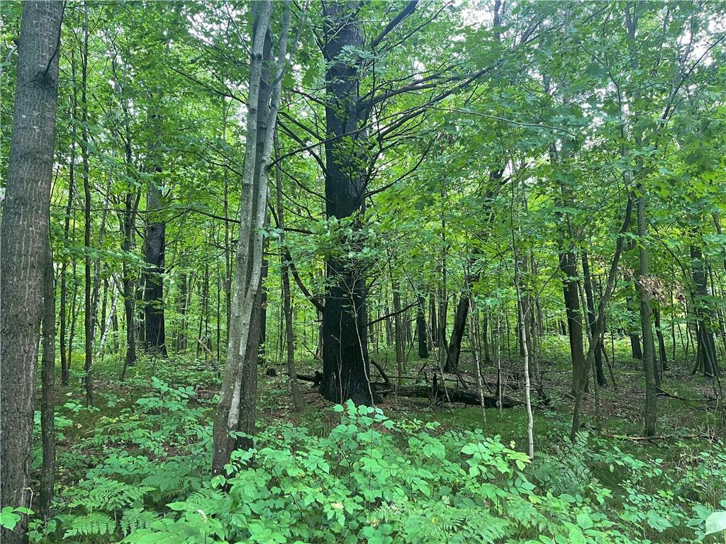 00 County Road B Shell Lake WI 54871 1585355 image1