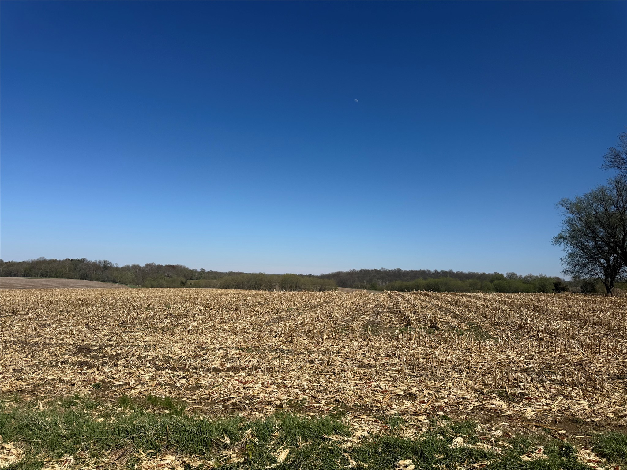 00 County Road Cc Pepin WI 54759 1600441 image1