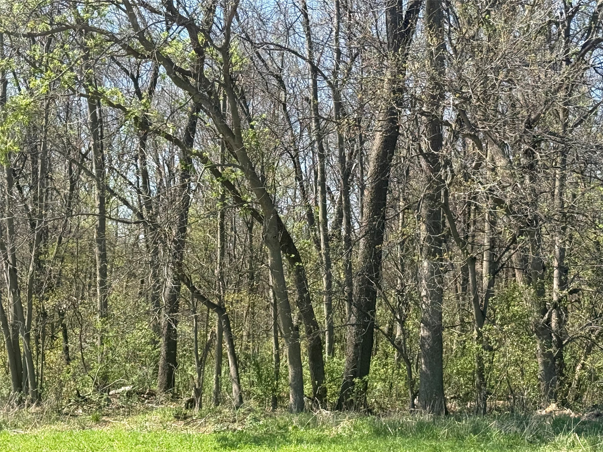 00 County Road Cc Pepin WI 54759 1600441 image11