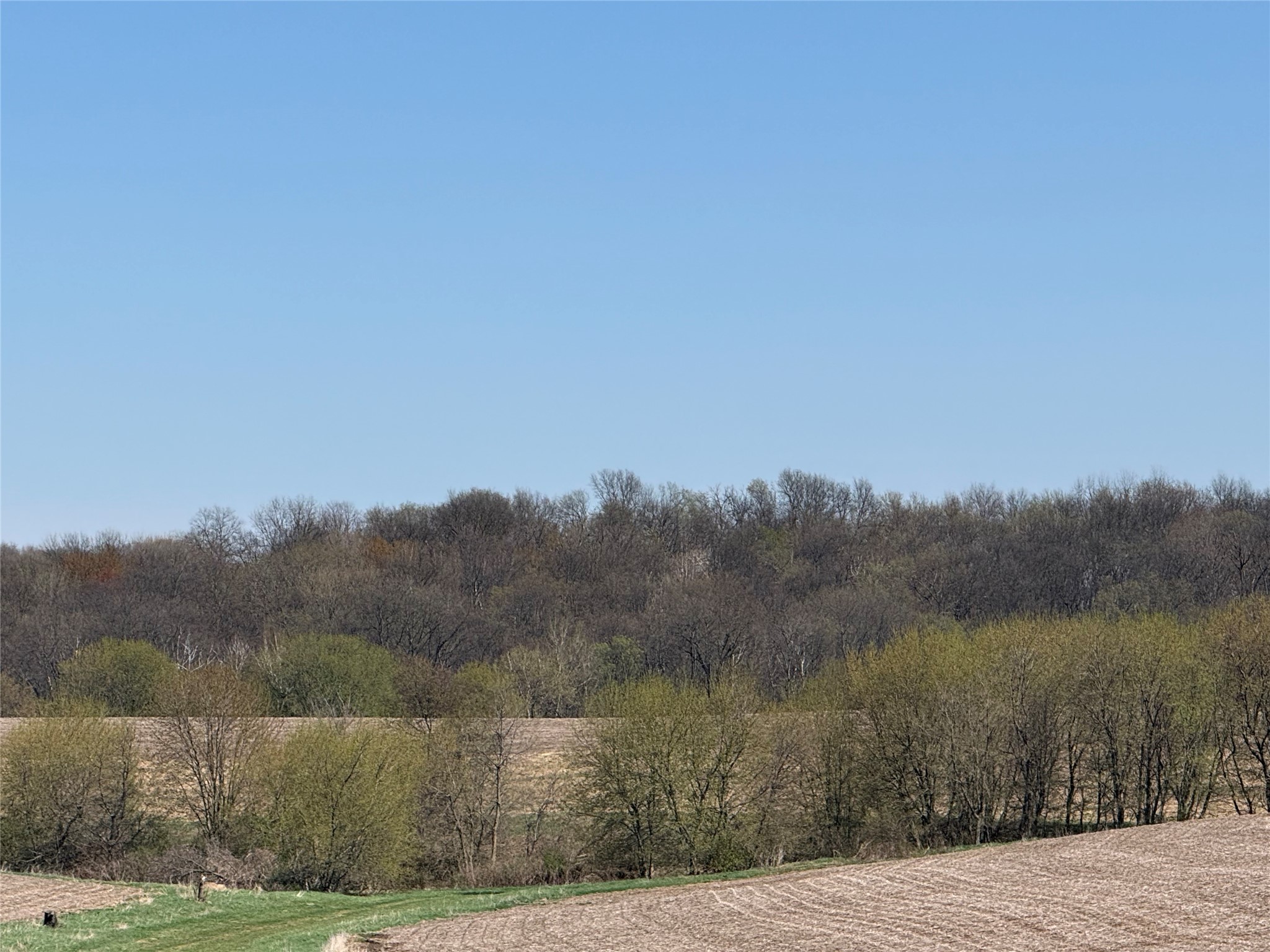 00 County Road Cc Pepin WI 54759 1600441 image3