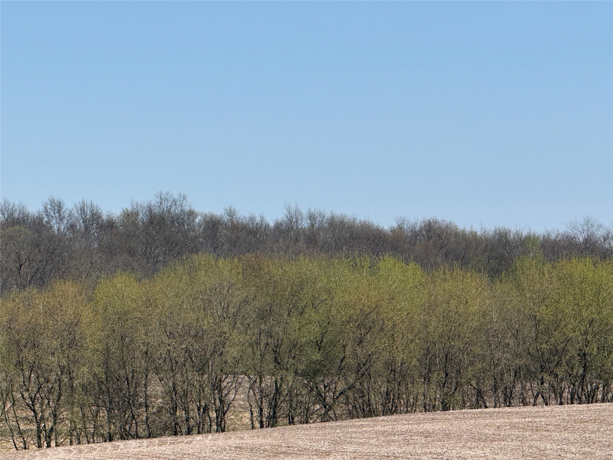 00 County Road Cc Pepin WI 54759 1600441 image4