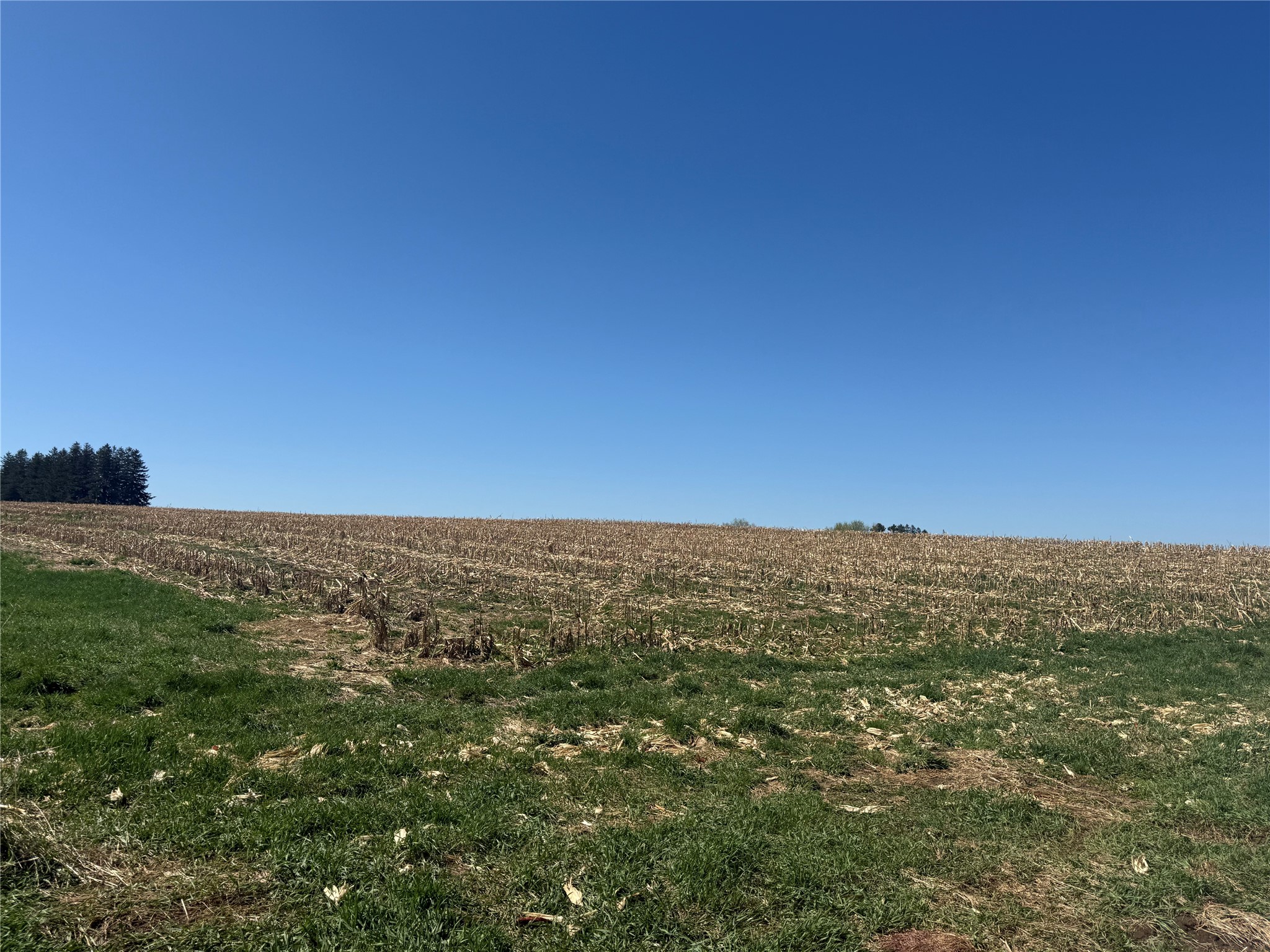 00 County Road Cc Pepin WI 54759 1600441 image6