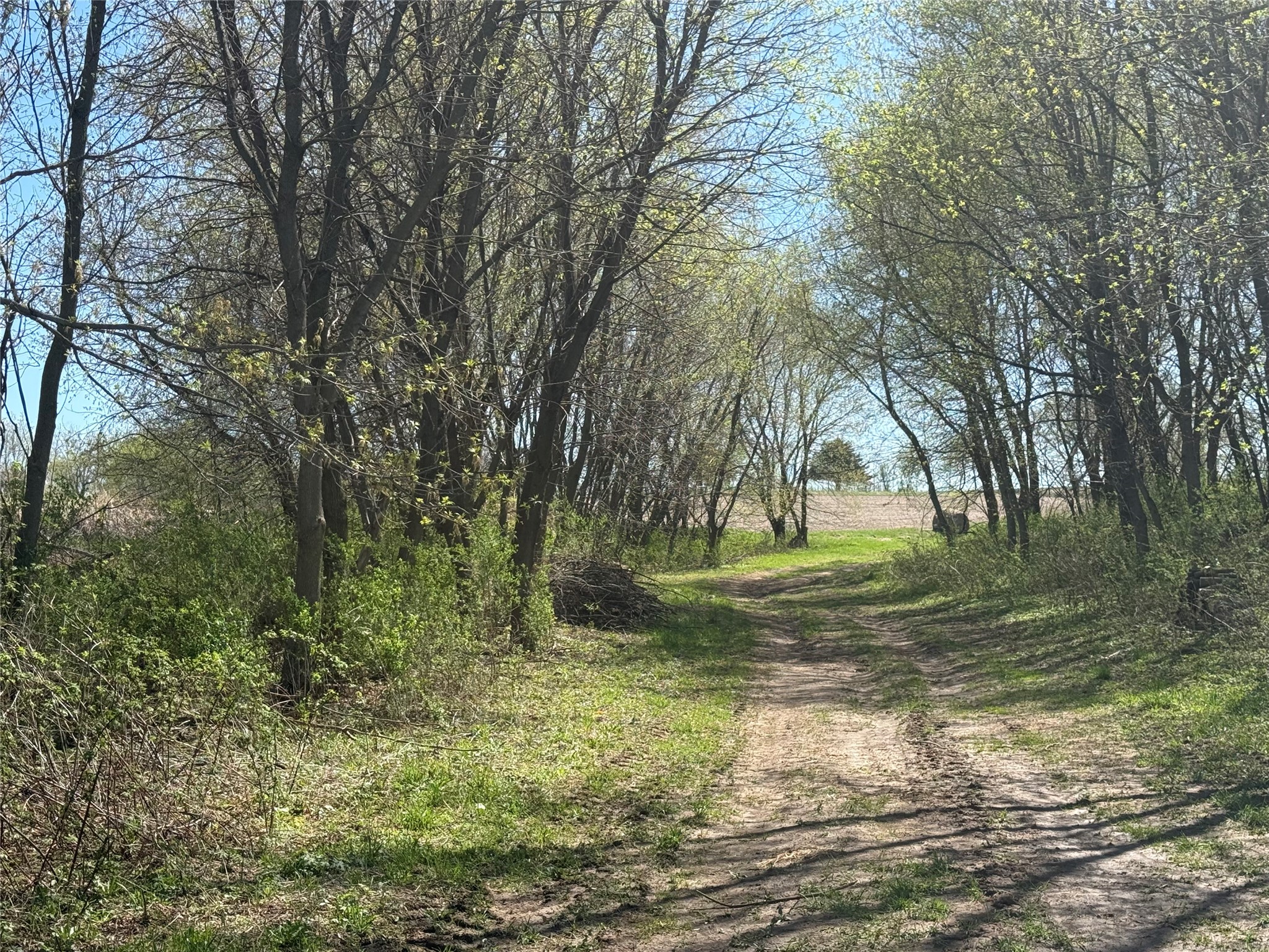 00 County Road Cc Pepin WI 54759 1600441 image7