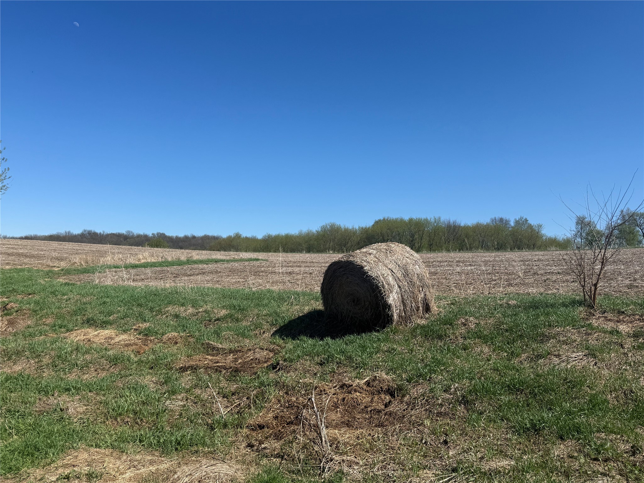00 County Road Cc Pepin WI 54759 1600441 image8