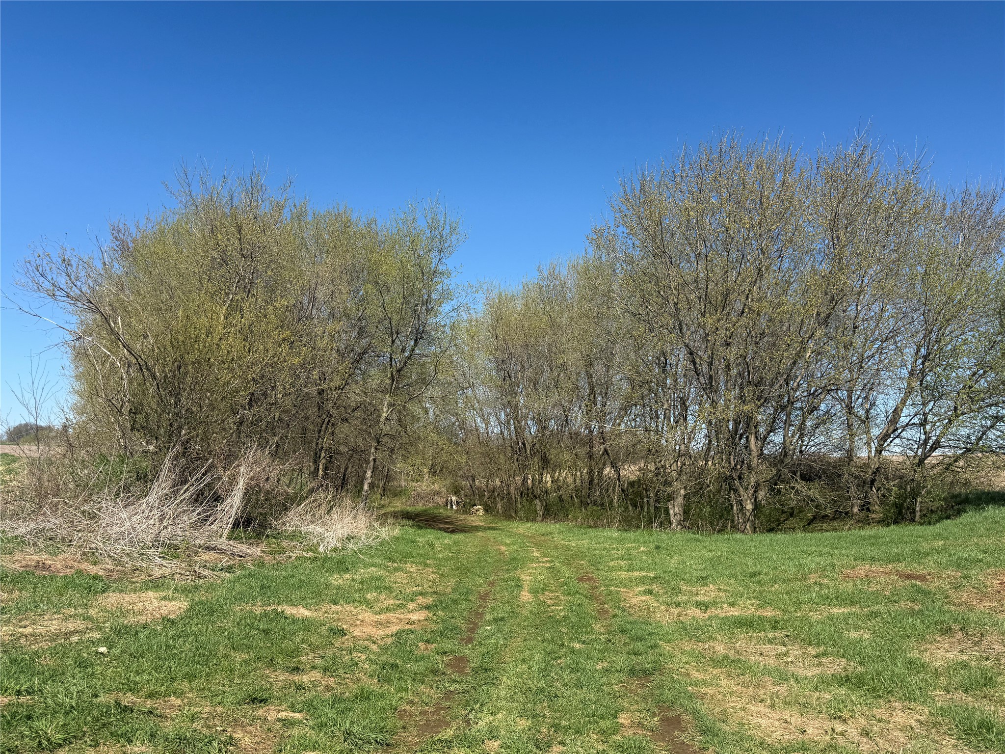 00 County Road Cc Pepin WI 54759 1600441 image9