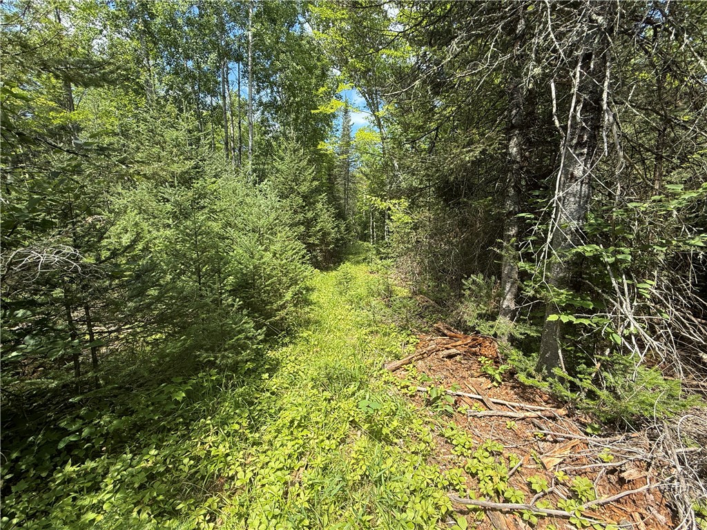 00 County Road L Lake Nebagamon WI 54849 1594038 image1