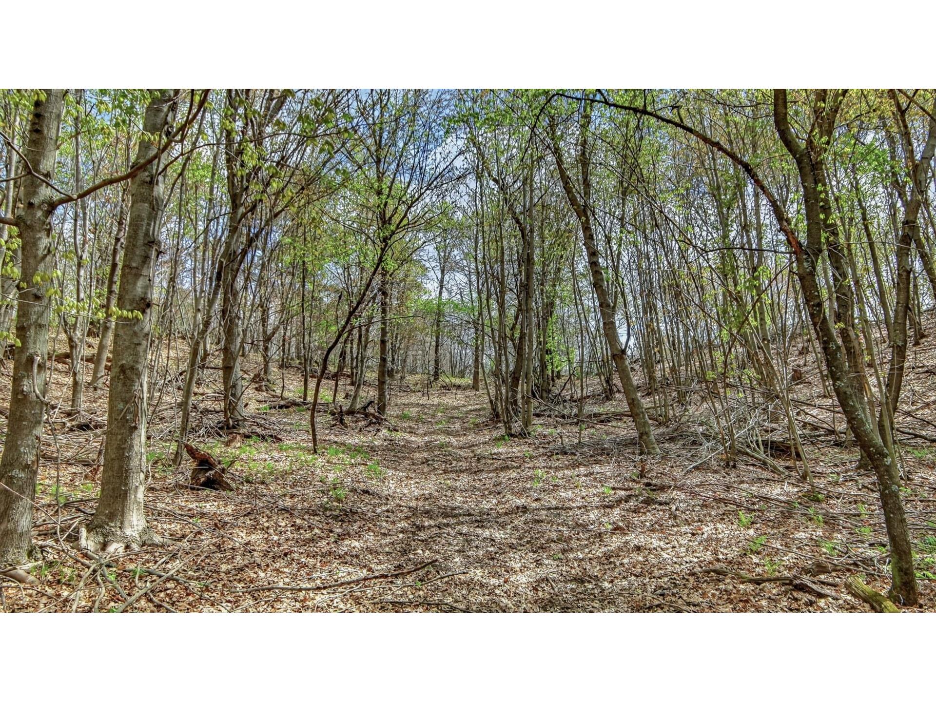 00 County Road P Blair WI 54616 1600683 image11
