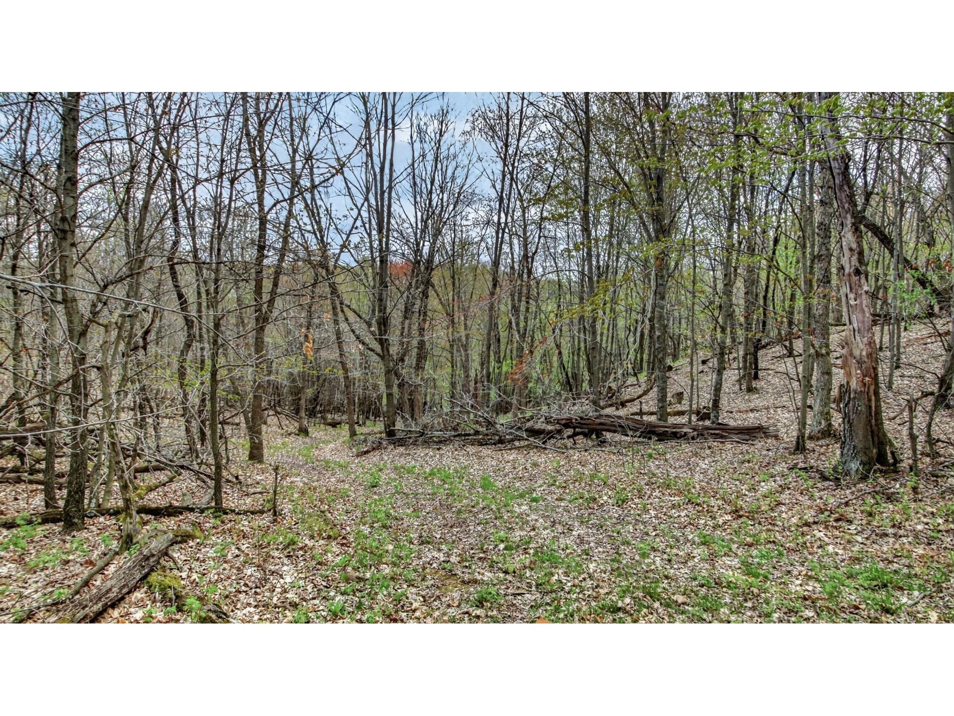 00 County Road P Blair WI 54616 1600683 image13