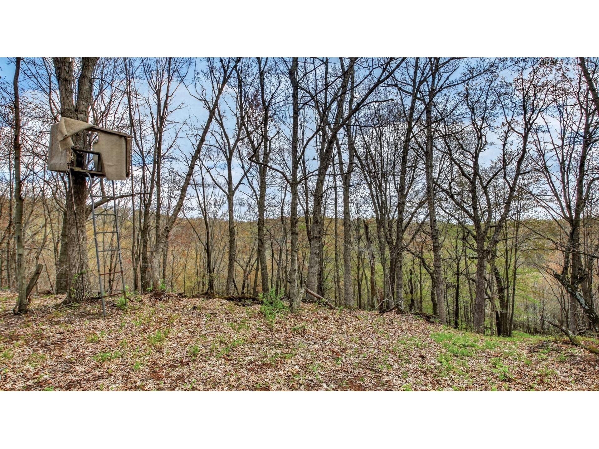 00 County Road P Blair WI 54616 1600683 image16
