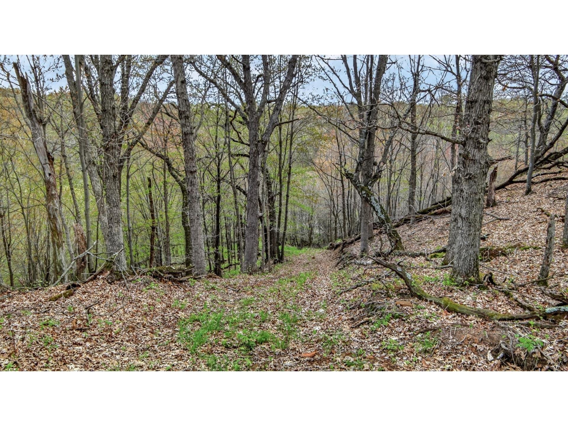 00 County Road P Blair WI 54616 1600683 image17