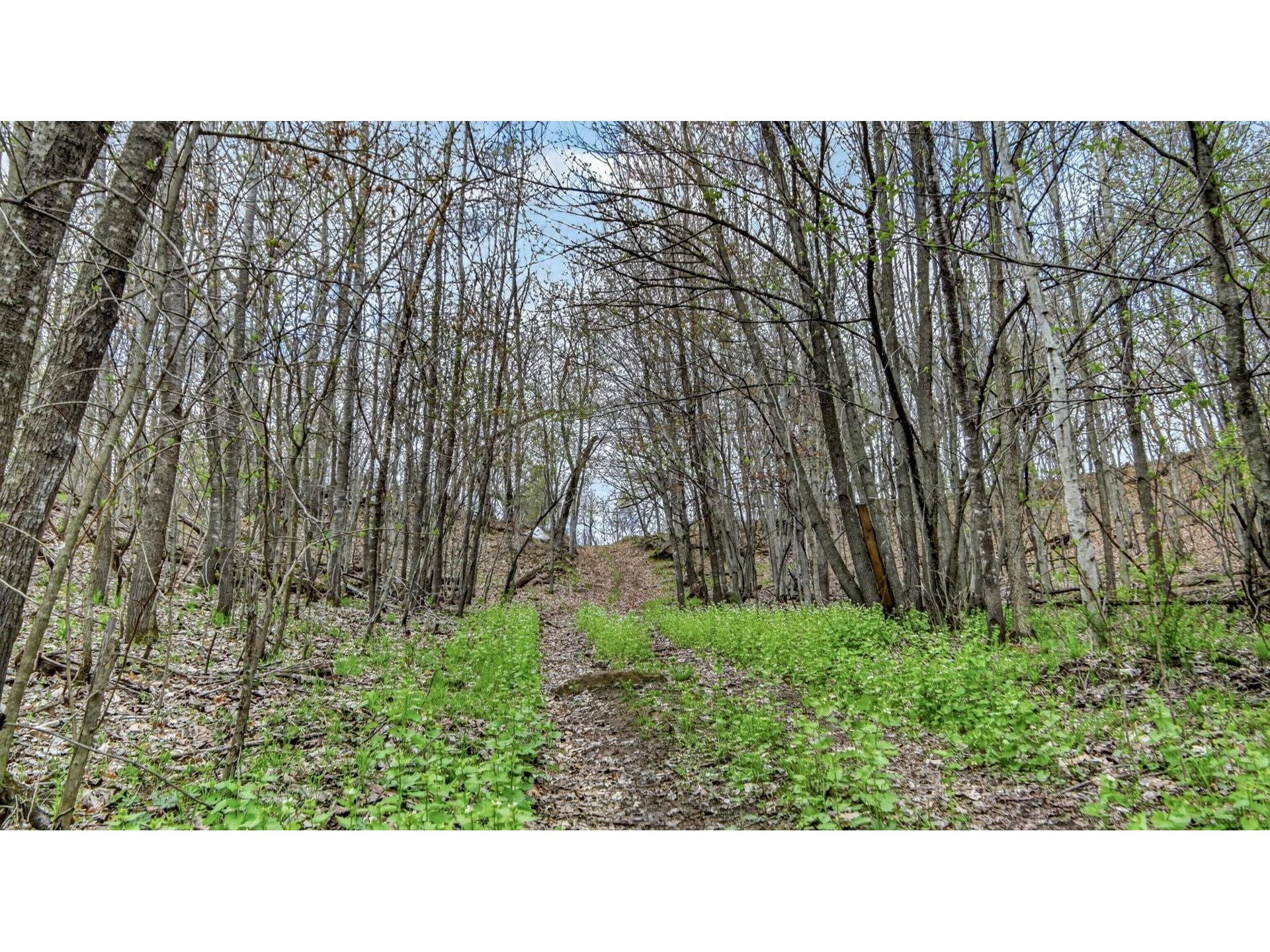 00 County Road P Blair WI 54616 1600683 image20