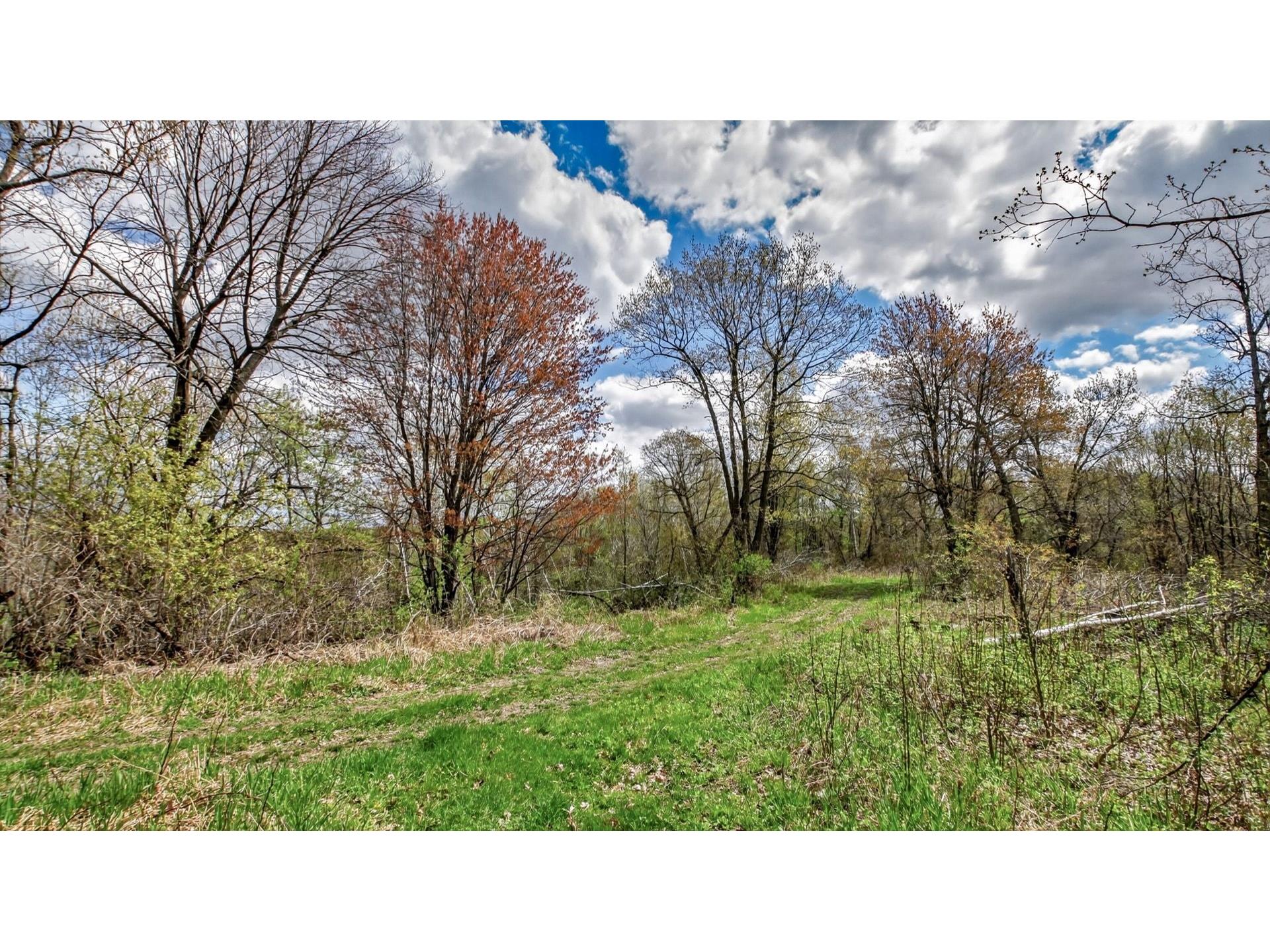 00 County Road P Blair WI 54616 1600683 image29