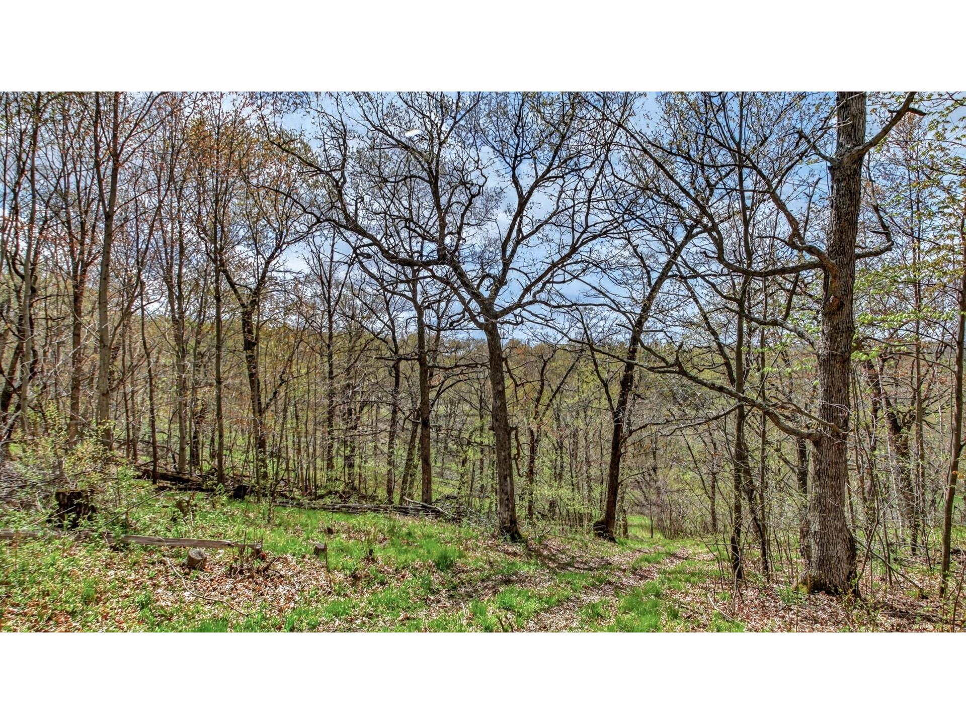 00 County Road P Blair WI 54616 1600683 image30