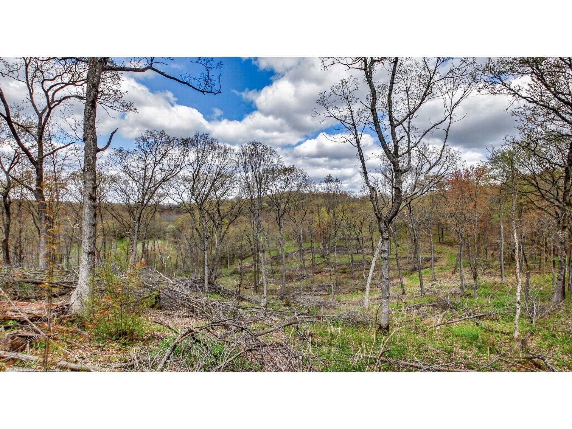 00 County Road P Blair WI 54616 1600683 image32