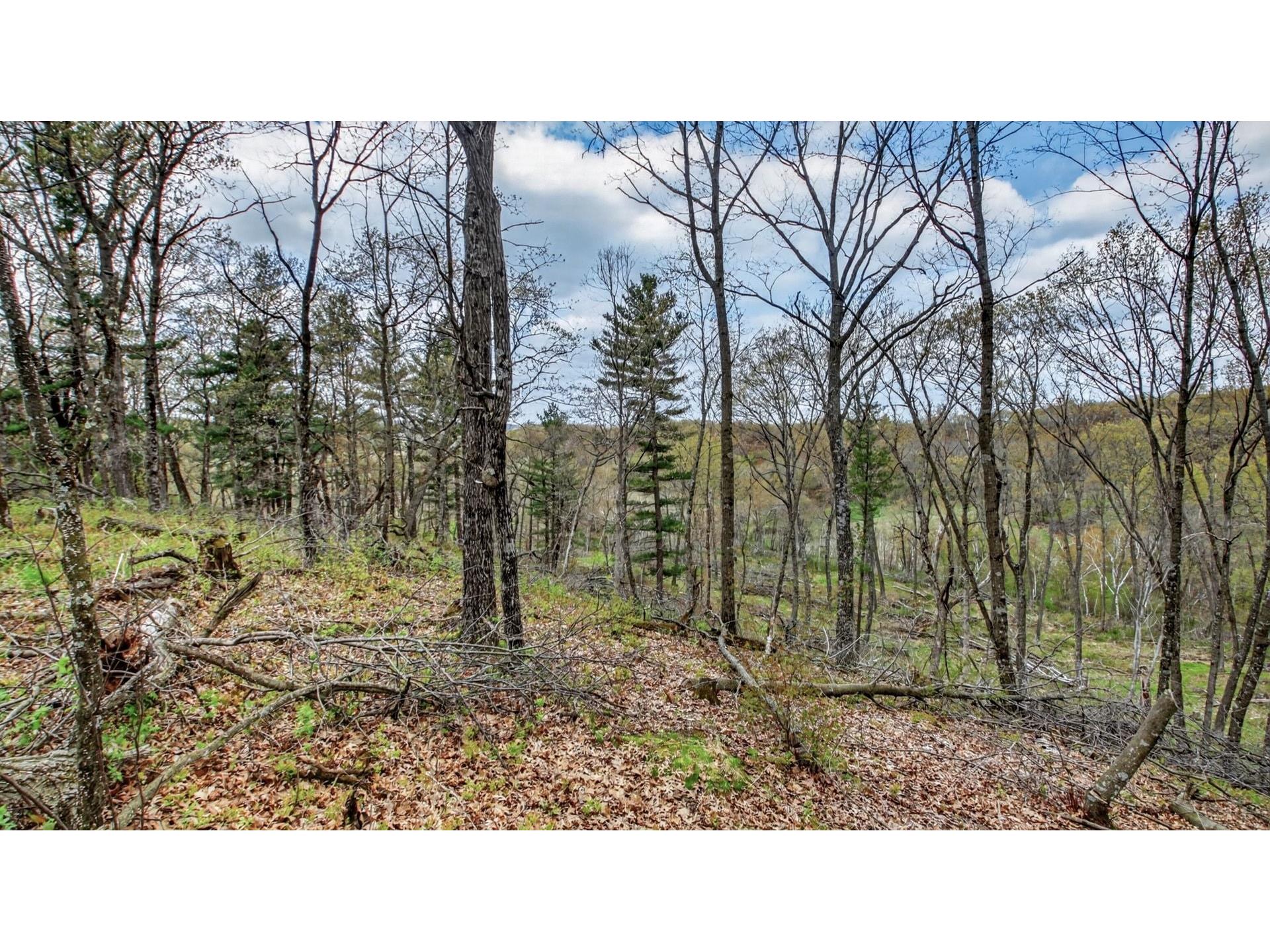 00 County Road P Blair WI 54616 1600683 image33