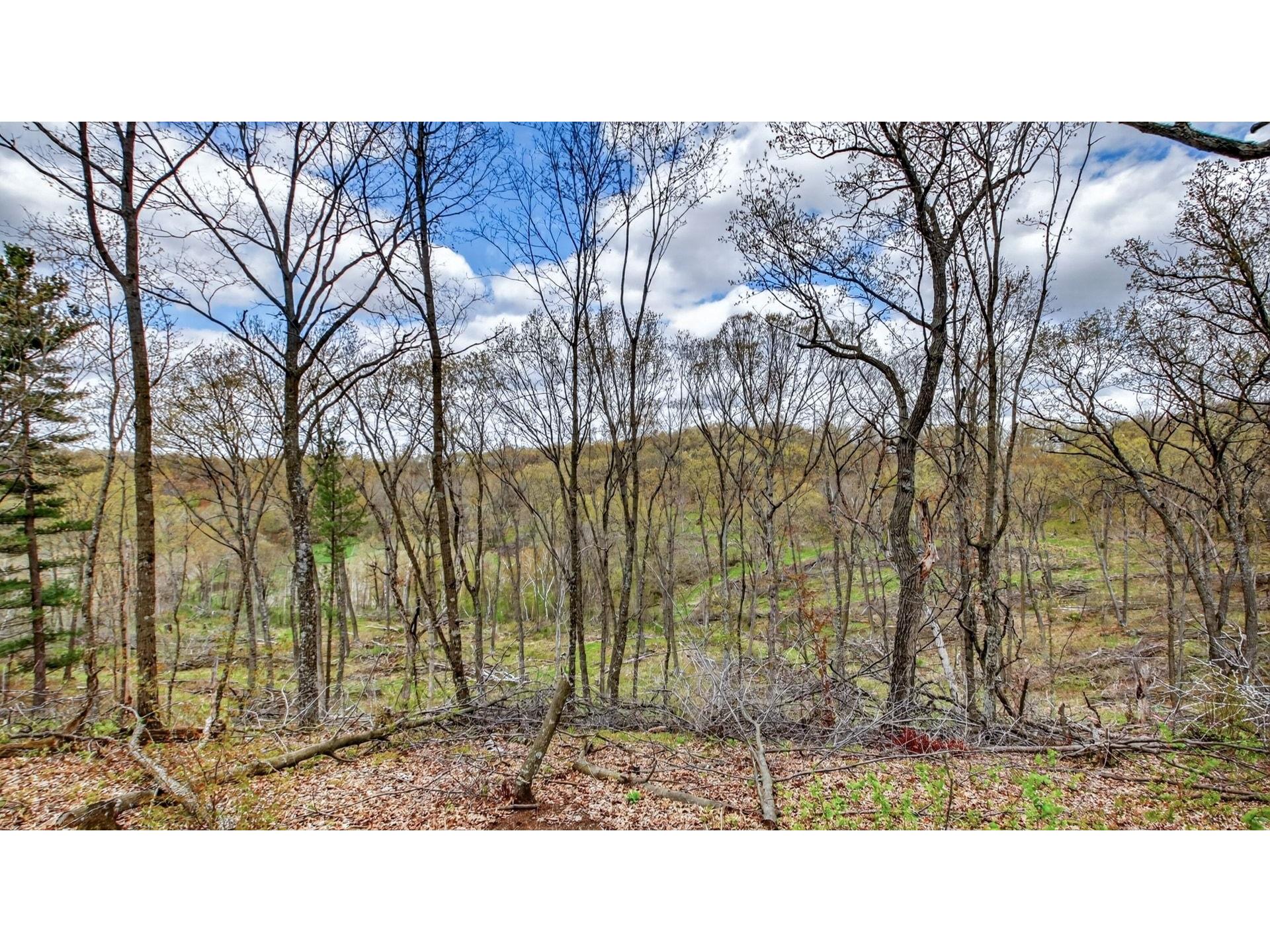 00 County Road P Blair WI 54616 1600683 image34