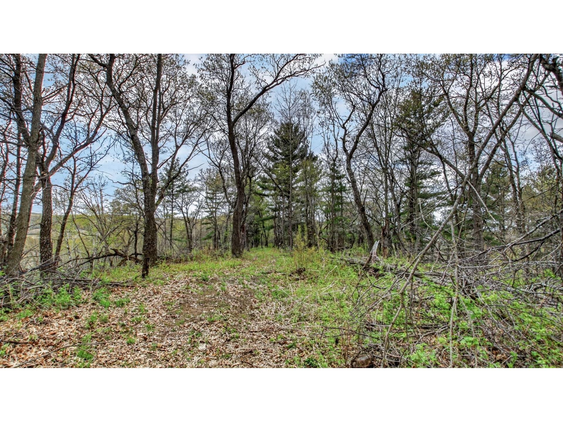 00 County Road P Blair WI 54616 1600683 image36