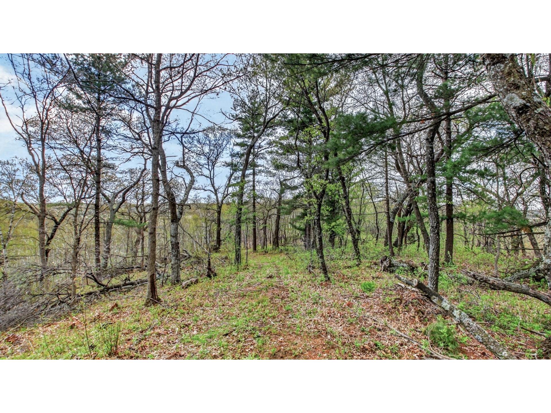 00 County Road P Blair WI 54616 1600683 image37