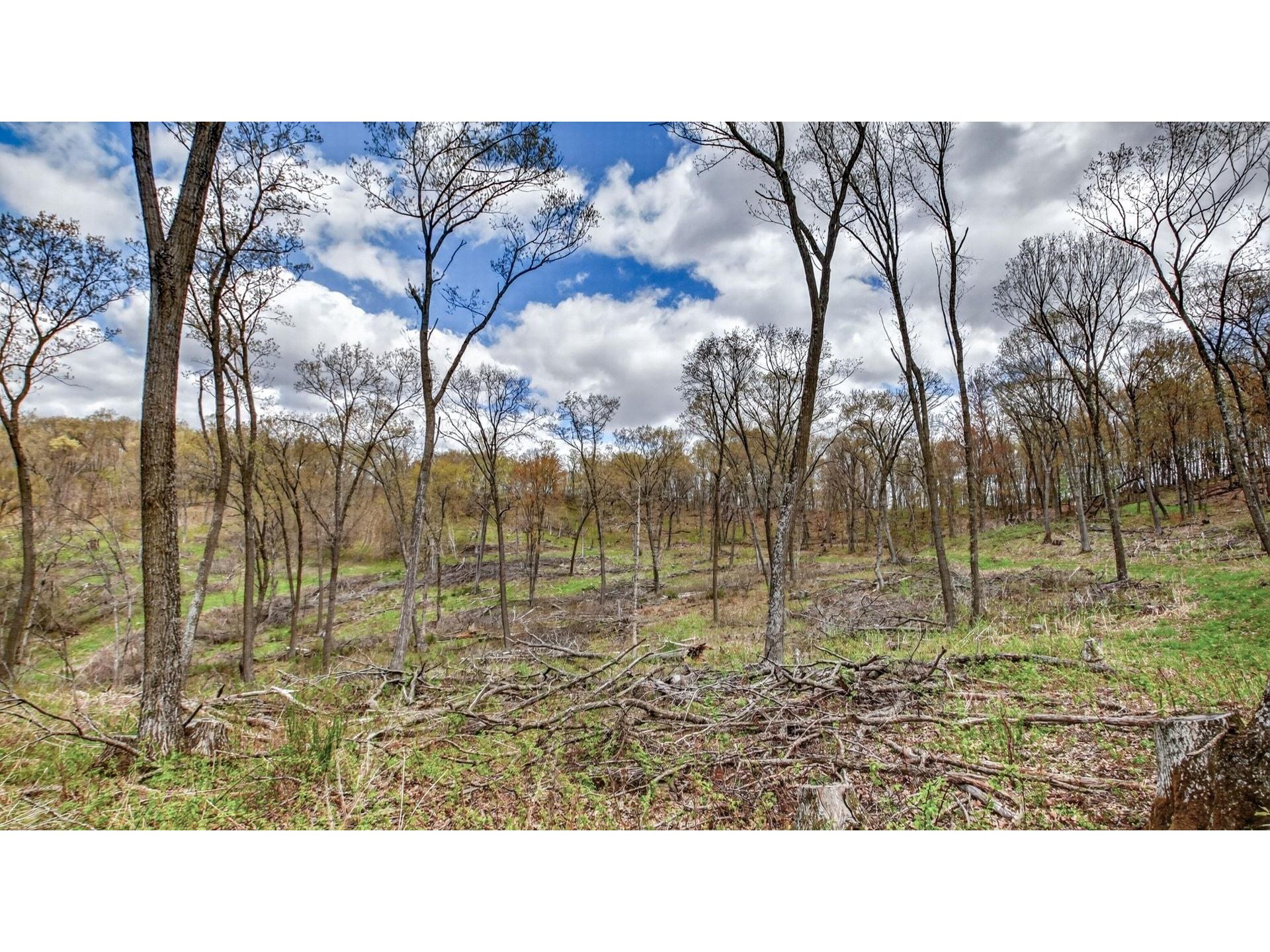 00 County Road P Blair WI 54616 1600683 image41