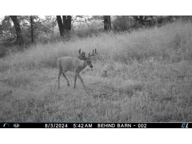 00 County Road P Blair WI 54616 1600683 image46