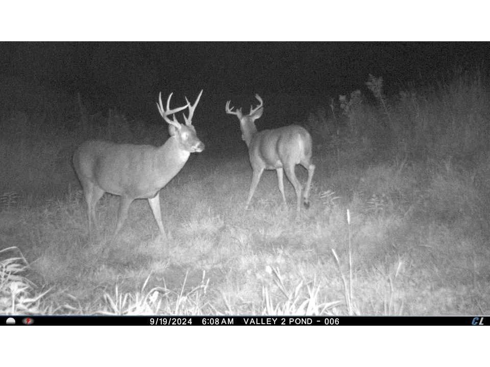 00 County Road P Blair WI 54616 1600683 image48