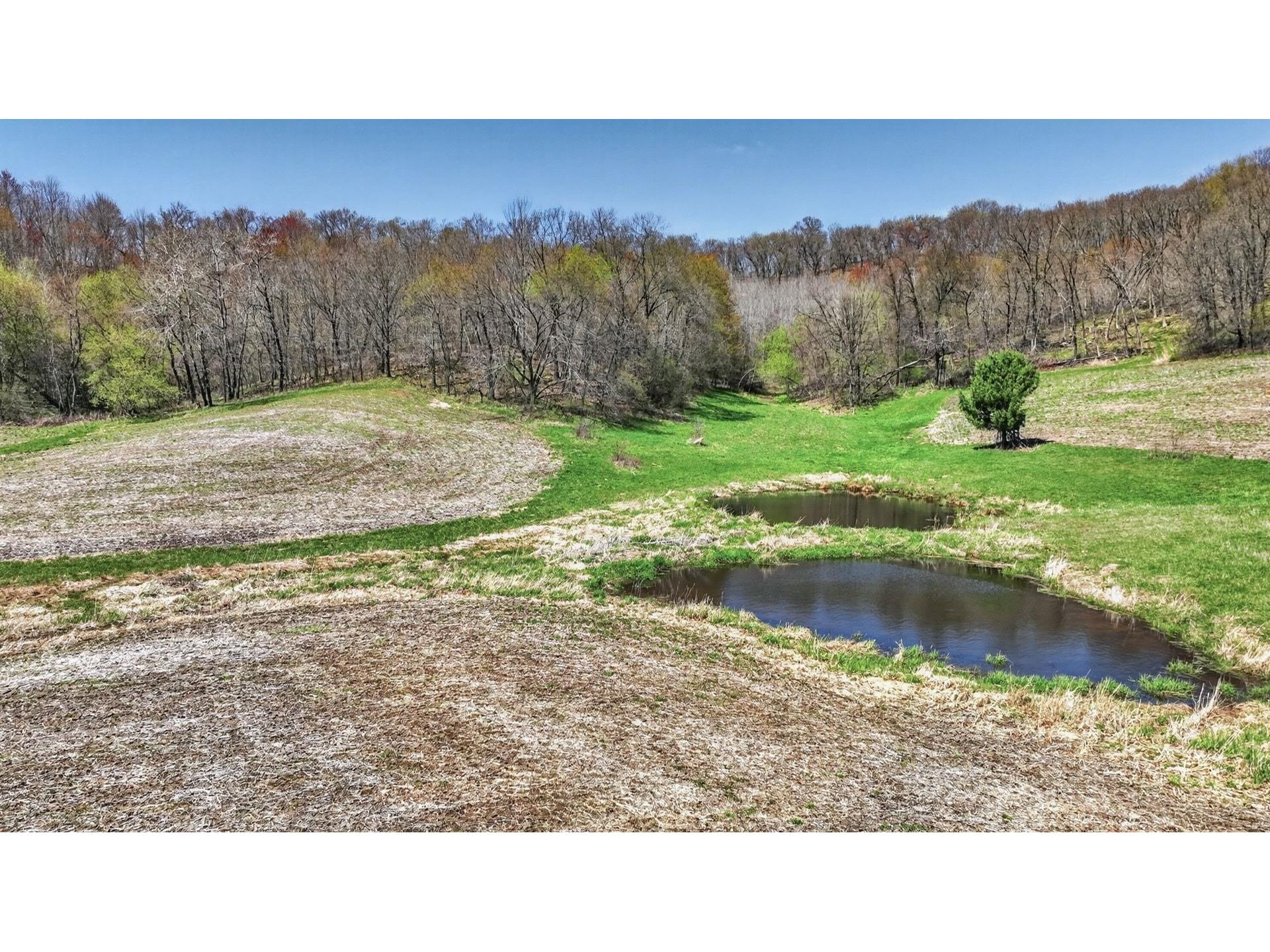 00 County Road P Blair WI 54616 1600683 image8