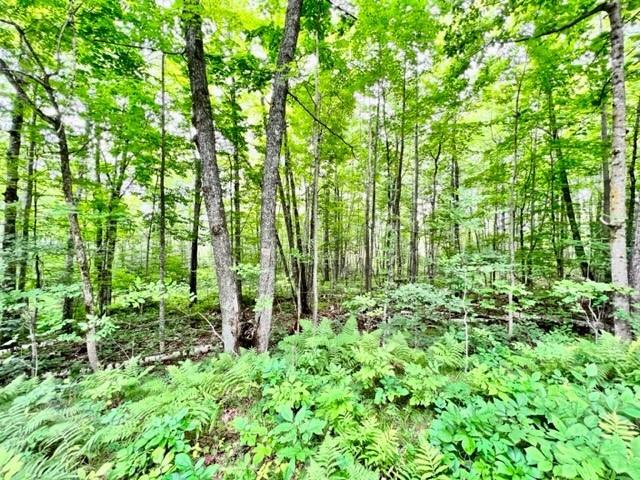 00 East Mail Road Gordon WI 548 - Eau Claire Lake 1587207 image1