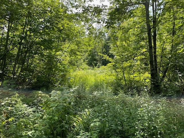 00 Helsing Road Ojibwa WI 54862 1584780 image1