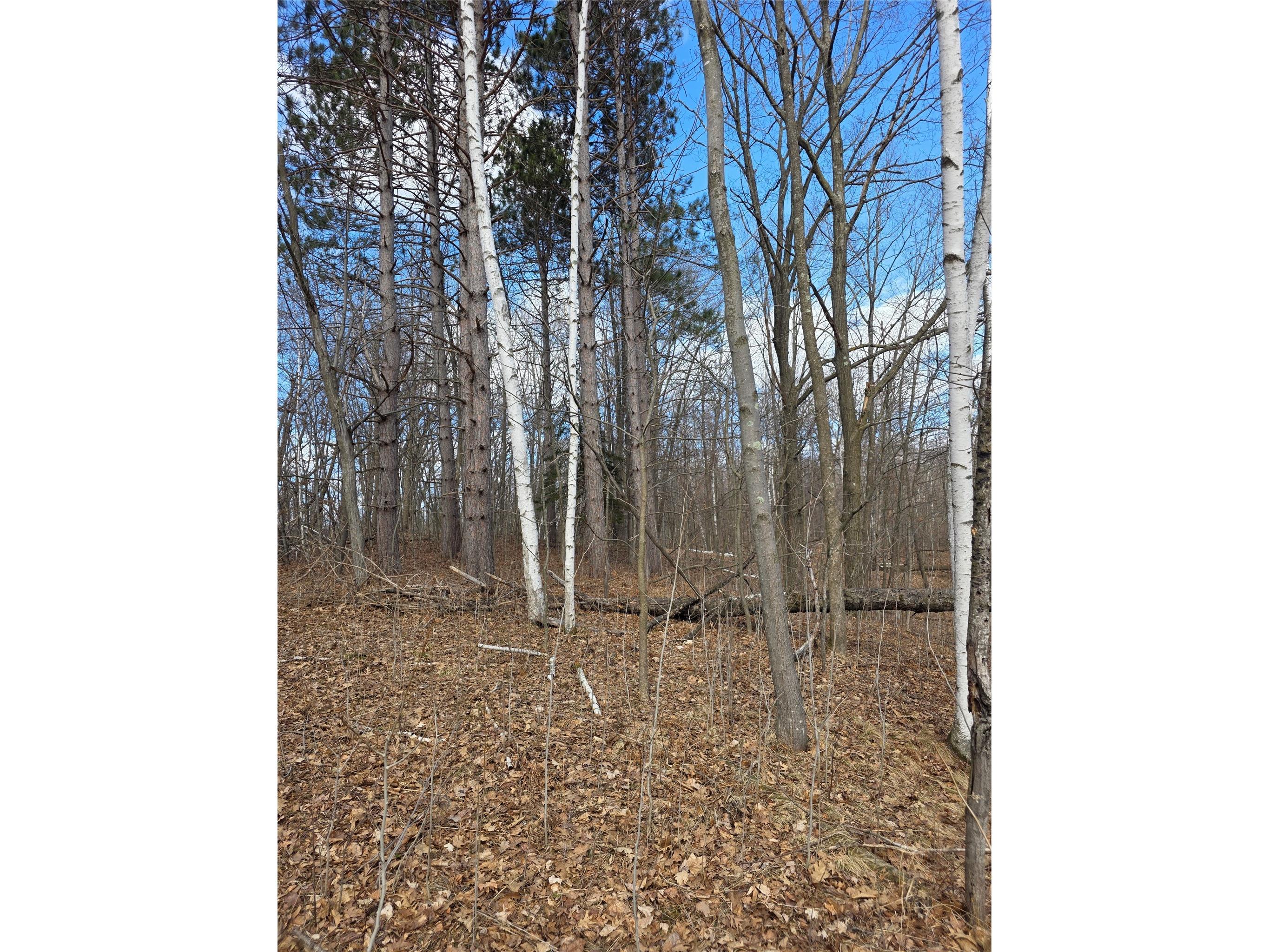 00 Highway W Weyerhaeuser WI 54895 1599952 image1