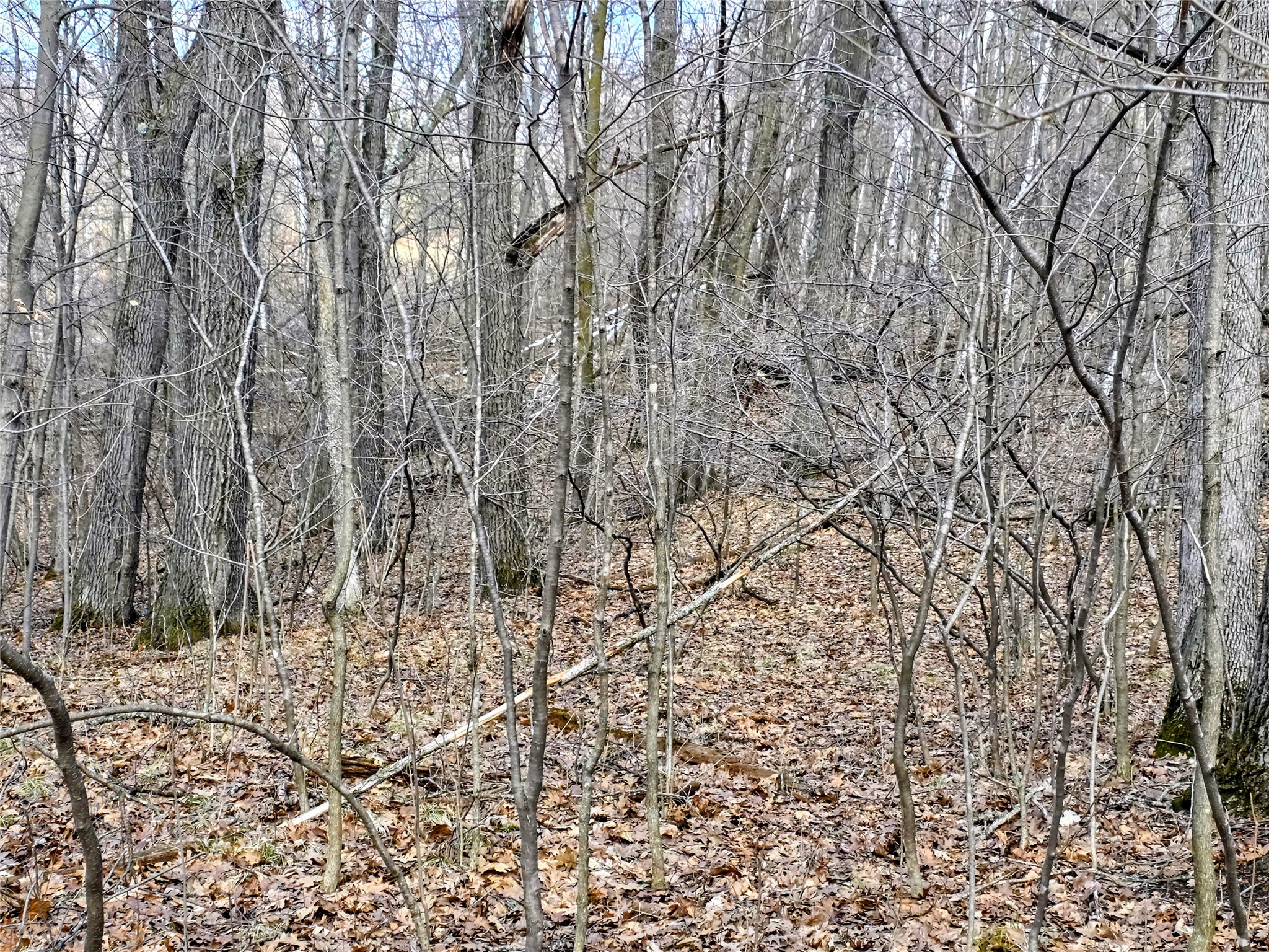 00 Highway W Weyerhaeuser WI 54895 1599952 image3