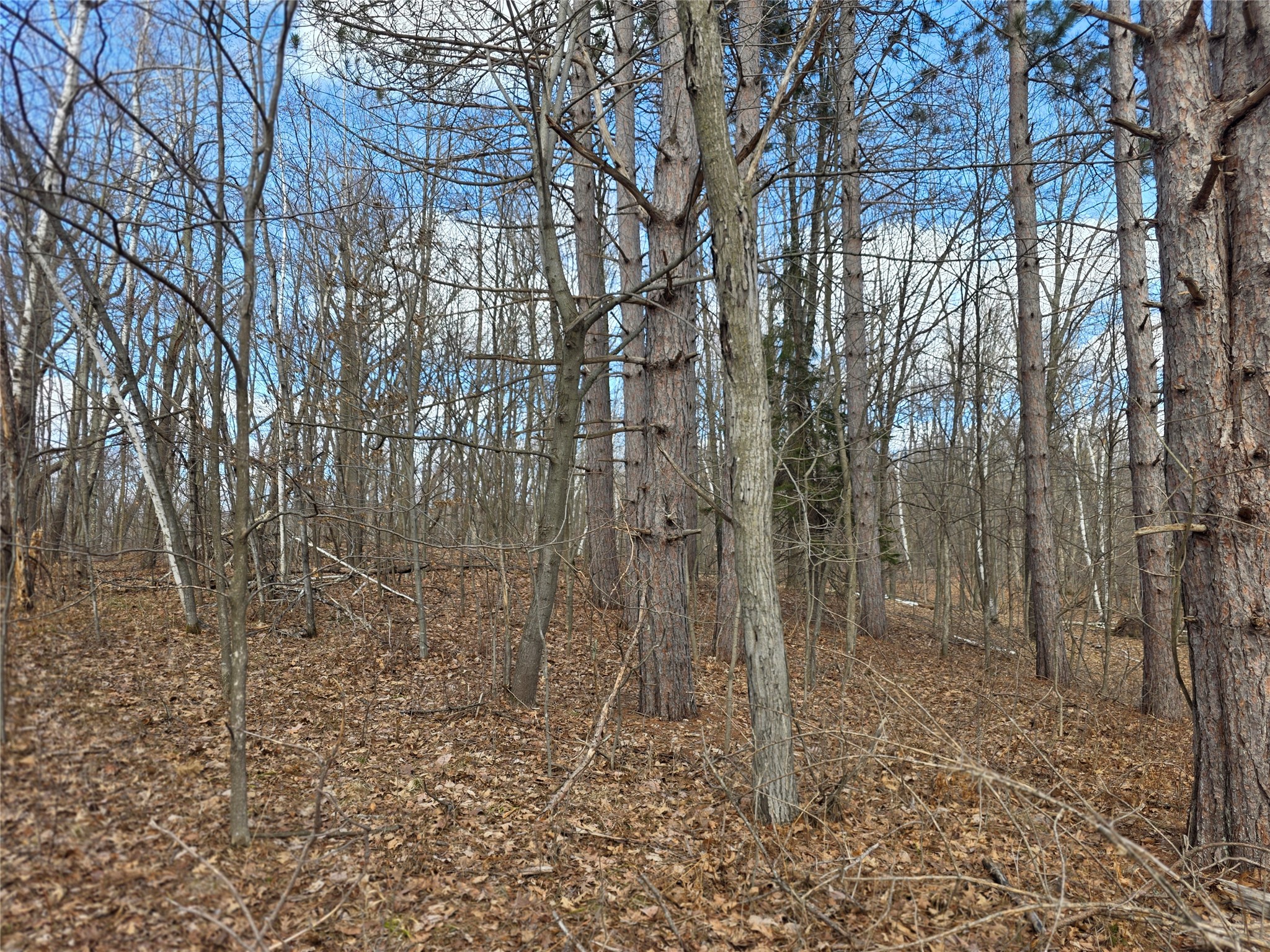 00 Highway W Weyerhaeuser WI 54895 1599952 image8