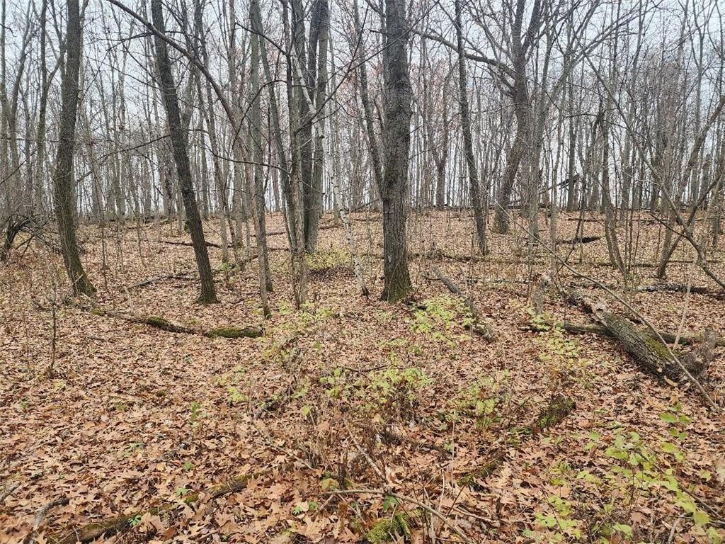 00 Hwy K (2nd Street) Clayton WI 54004 1578184 image1