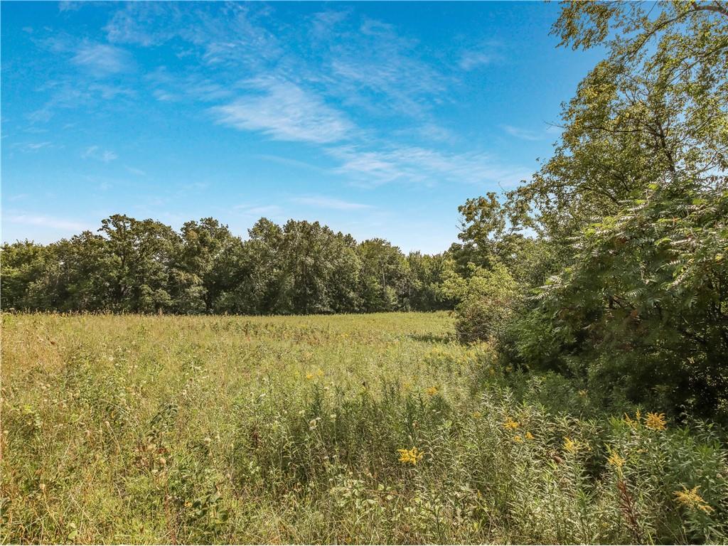 00 Joe Coulee Road Blair WI 54616 1595723 image12
