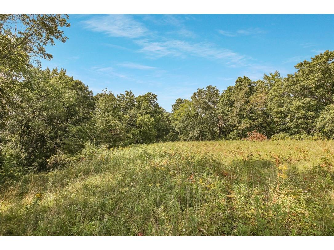 00 Joe Coulee Road Blair WI 54616 1595723 image13