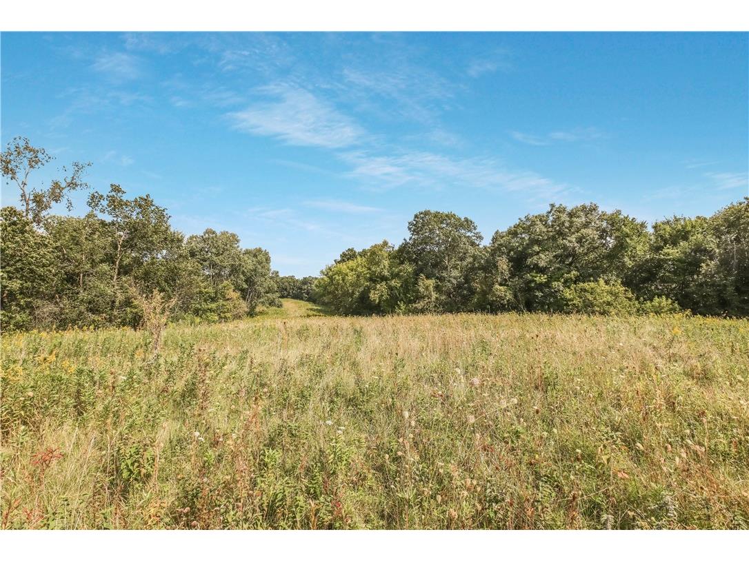 00 Joe Coulee Road Blair WI 54616 1595723 image14