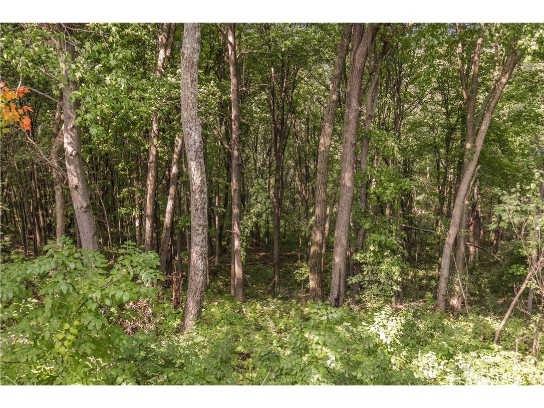 00 Joe Coulee Road Blair WI 54616 1595723 image15