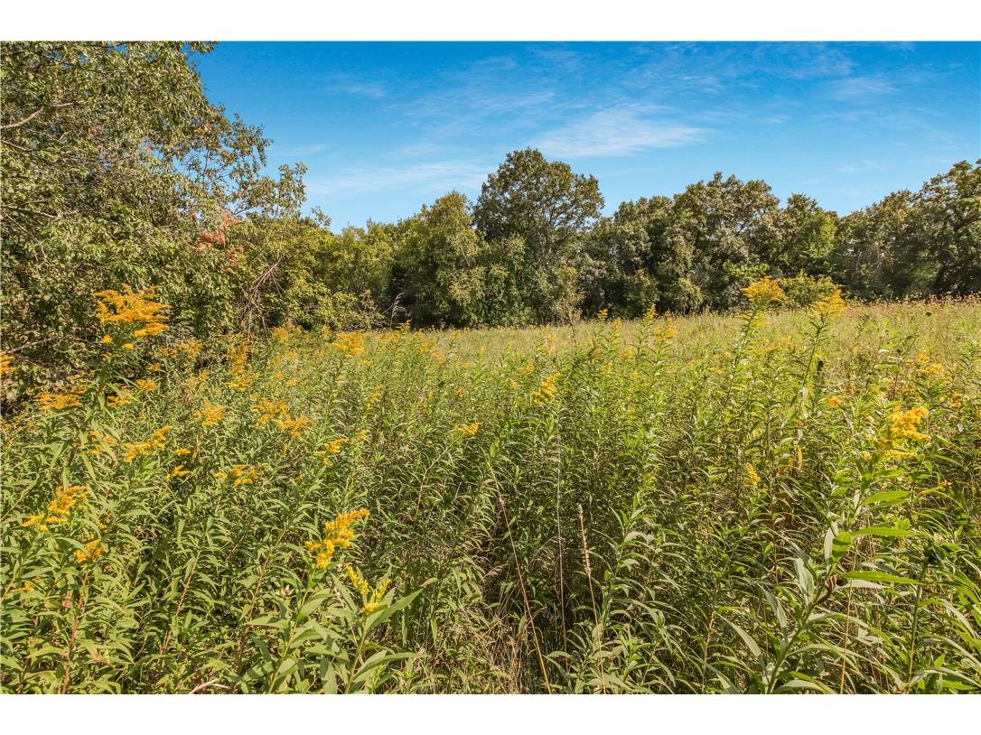 00 Joe Coulee Road Blair WI 54616 1595723 image16