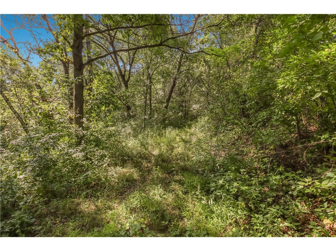 00 Joe Coulee Road Blair WI 54616 1595723 image18